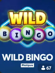 BC Game مصر - Wild Bingo في BC Game مصر