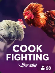 BC Game مصر - Cock Fighting في BC Game مصر